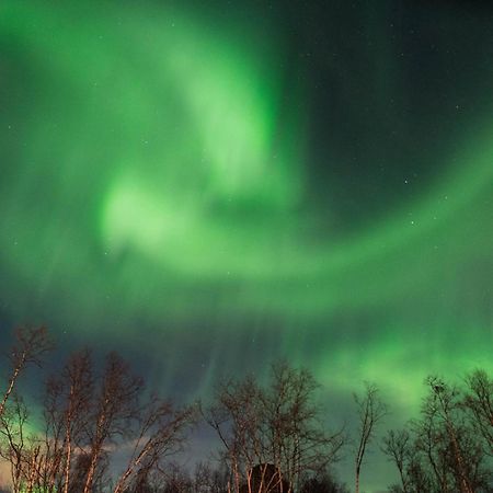 Ofelas Islandshaestar & Guideservice Kiruna Eksteriør billede