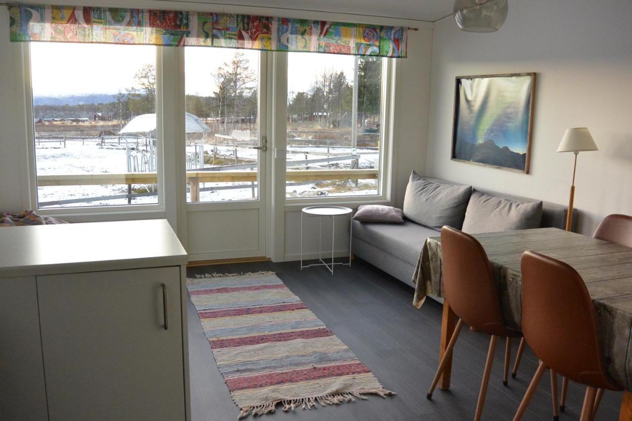 Ofelas Islandshaestar & Guideservice Kiruna Eksteriør billede