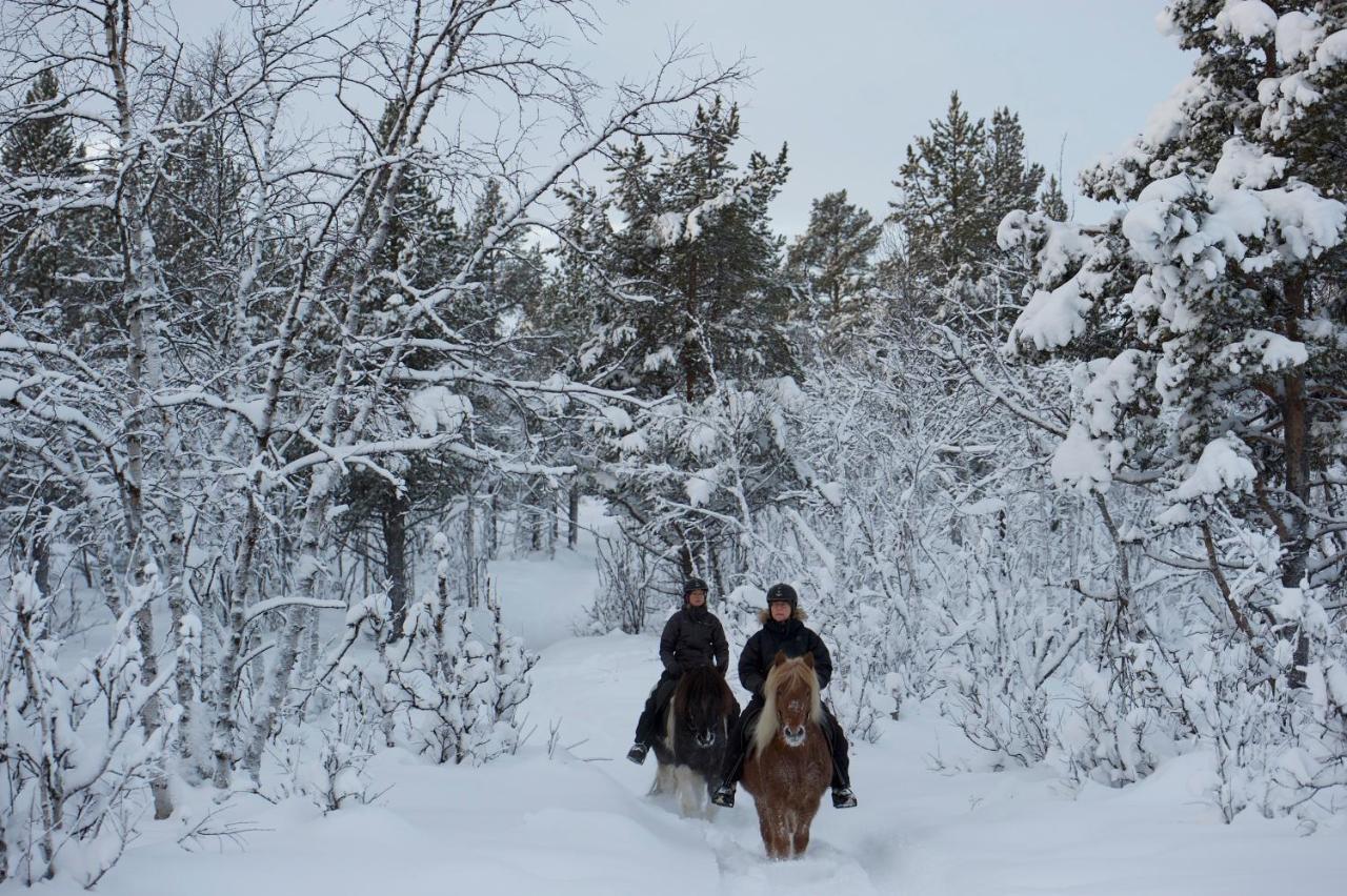 Ofelas Islandshaestar & Guideservice Kiruna Eksteriør billede