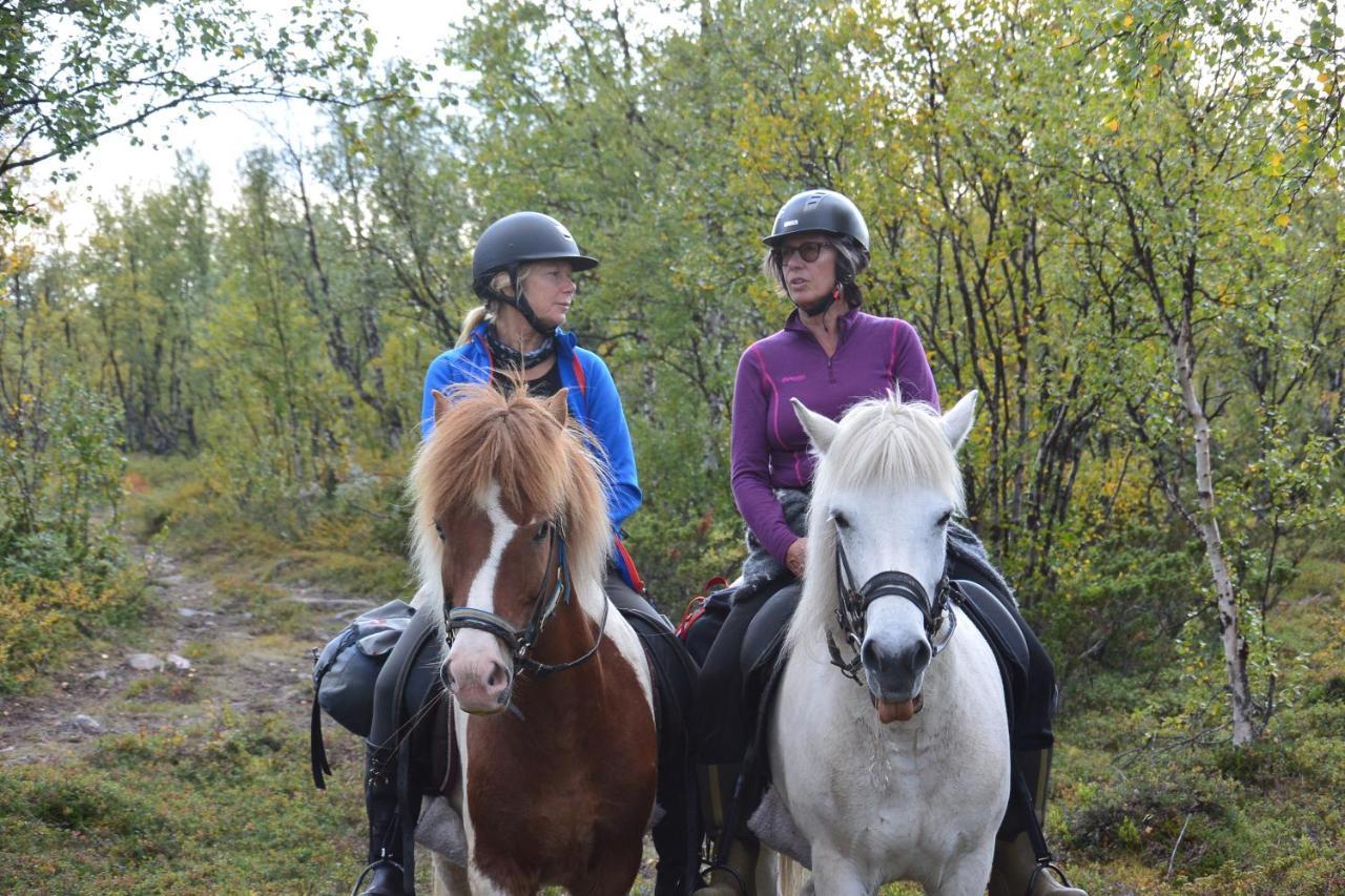 Ofelas Islandshaestar & Guideservice Kiruna Eksteriør billede