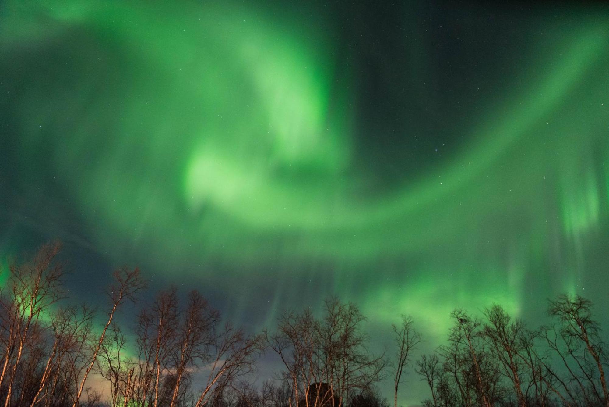 Ofelas Islandshaestar & Guideservice Kiruna Eksteriør billede