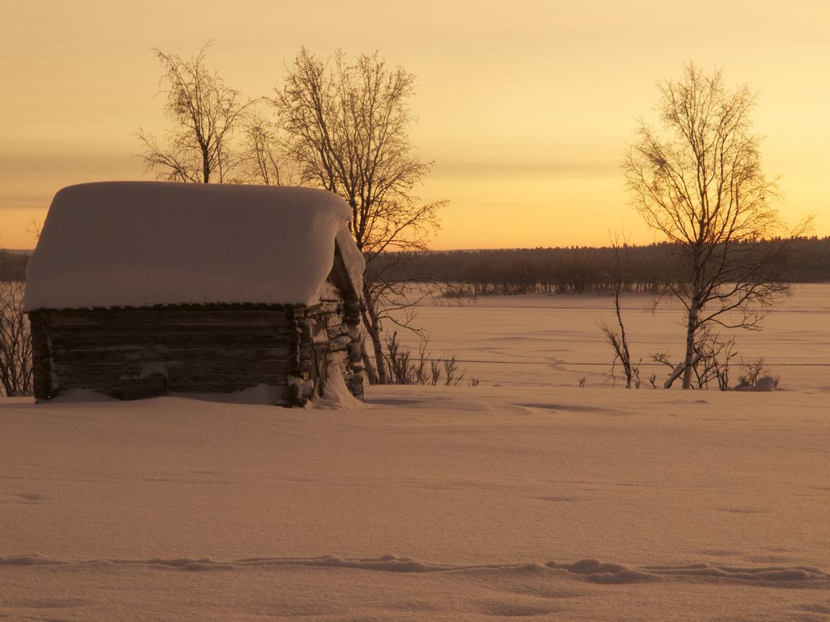 Ofelas Islandshaestar & Guideservice Kiruna Eksteriør billede