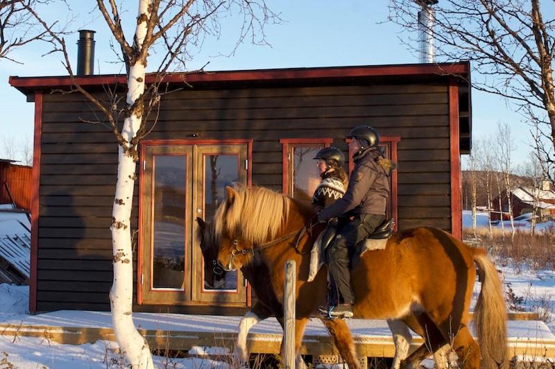Ofelas Islandshaestar & Guideservice Kiruna Eksteriør billede